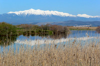 Evrotas-Delta with Taietos Mountains, Peloponnese