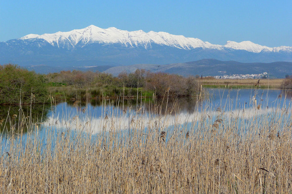 Evrotas-Delta with Taietos Mountains, Peloponnese