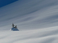 Schnee Snow, by Ueli Rehsteiner